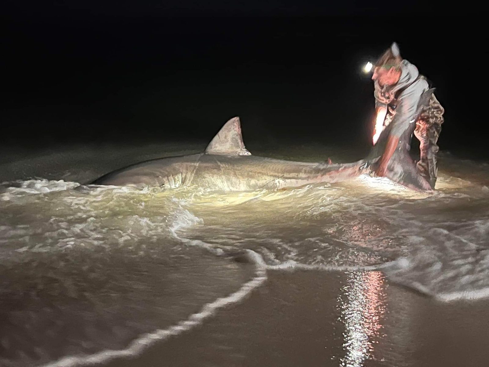 Battling a massive shark in the surf at night — Pensacola Beach